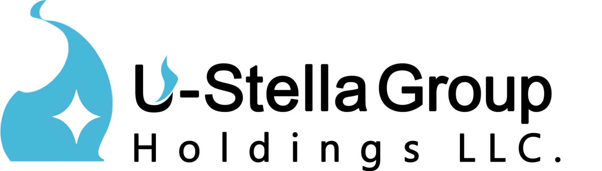 ユーステラグループ、中間持株会社・資産管理会社としてルナリアアセットマネジメント合同会社を設立|今後の事業構想(2枚目)