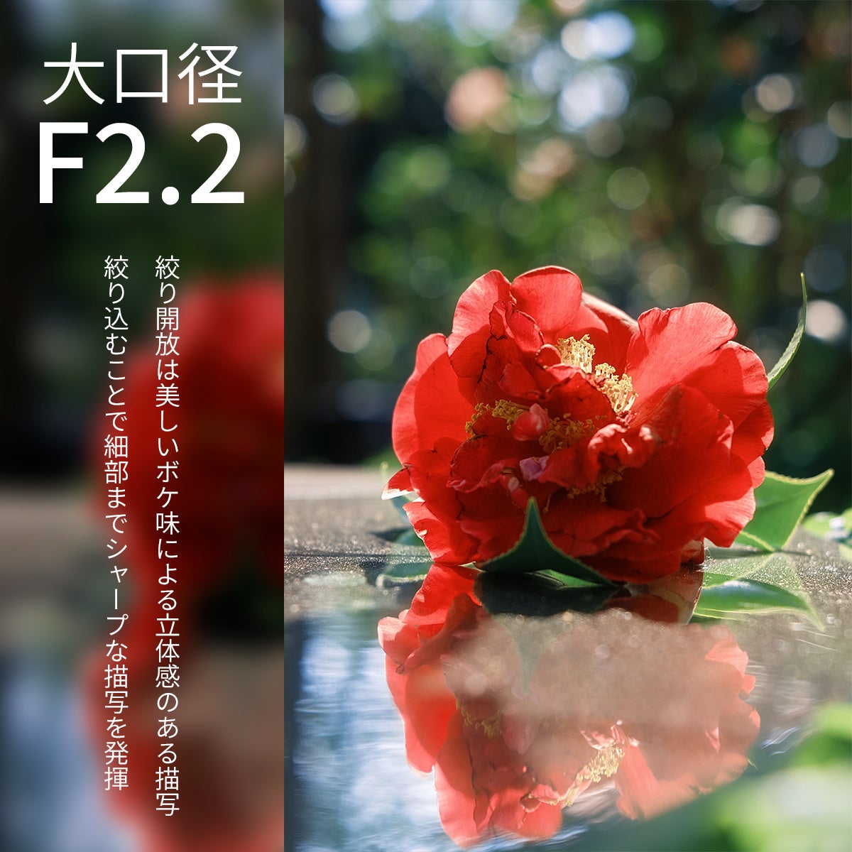E&Iクリエイション、クラシカルデザインを採用したフルサイズ対応AF単焦点レンズ「SG-image AF 35mm F2.2 Classic Edition」を発売｜SG-image AF 35mm F2.2 Classic Edi