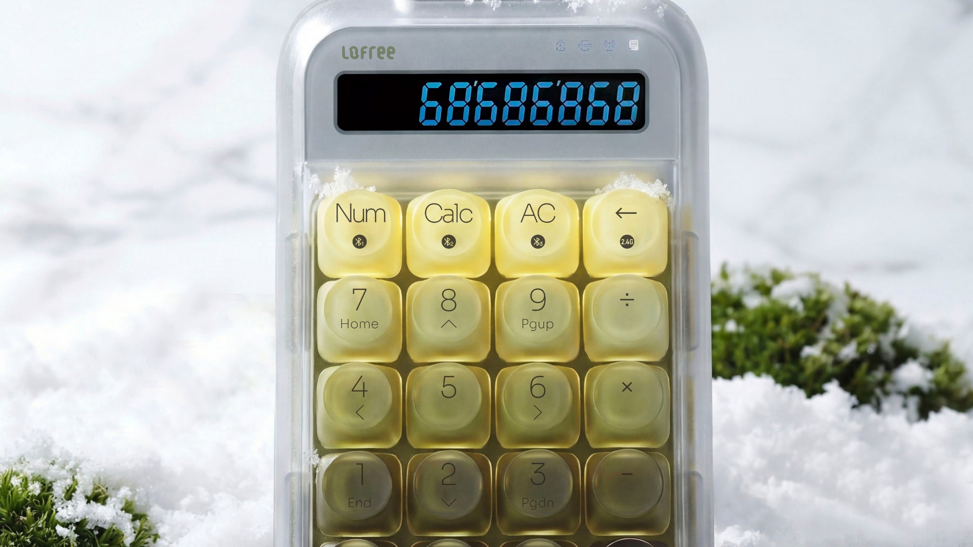 三陽合同会社、Lofreeの新商品「432Hz Polar Moss」シリーズの予約販売を開始 - 画像5