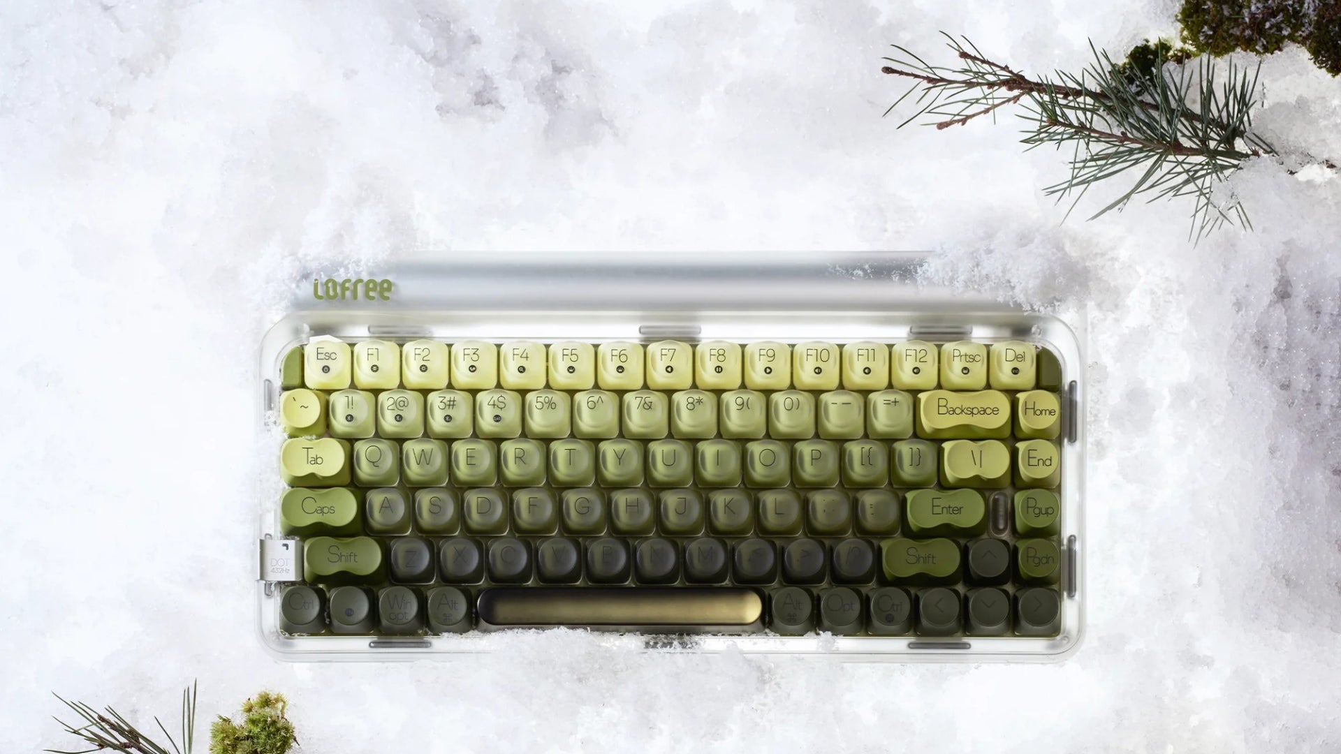 三陽合同会社、Lofreeの新商品「432Hz Polar Moss」シリーズの予約販売を開始 - 画像2