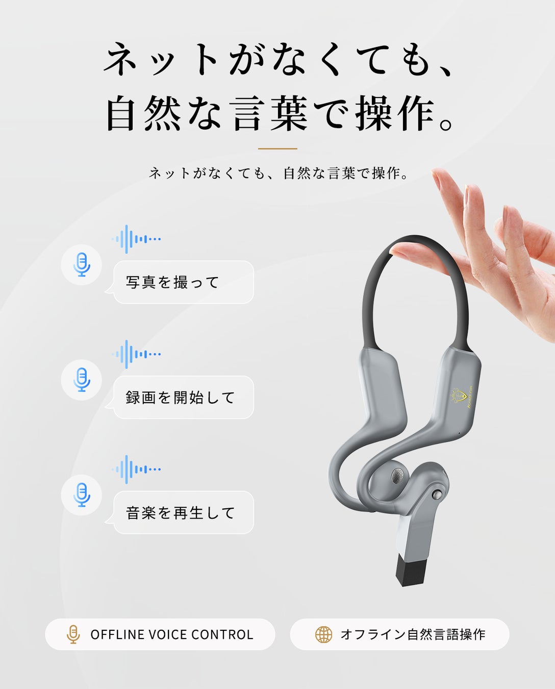 製品本体を手にする様子とオフライン音声操作の指示例を示す図版