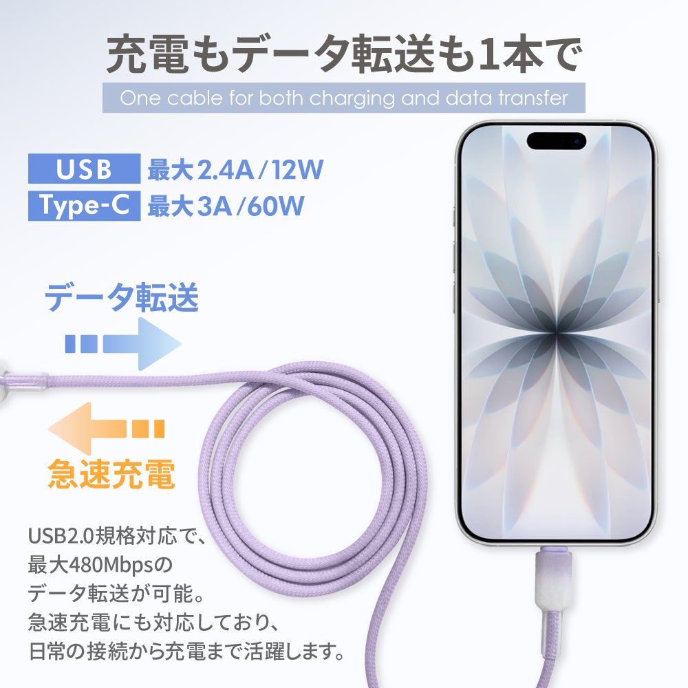 シズカウィル、年末年始に感謝クーポンを配布 - 画像6