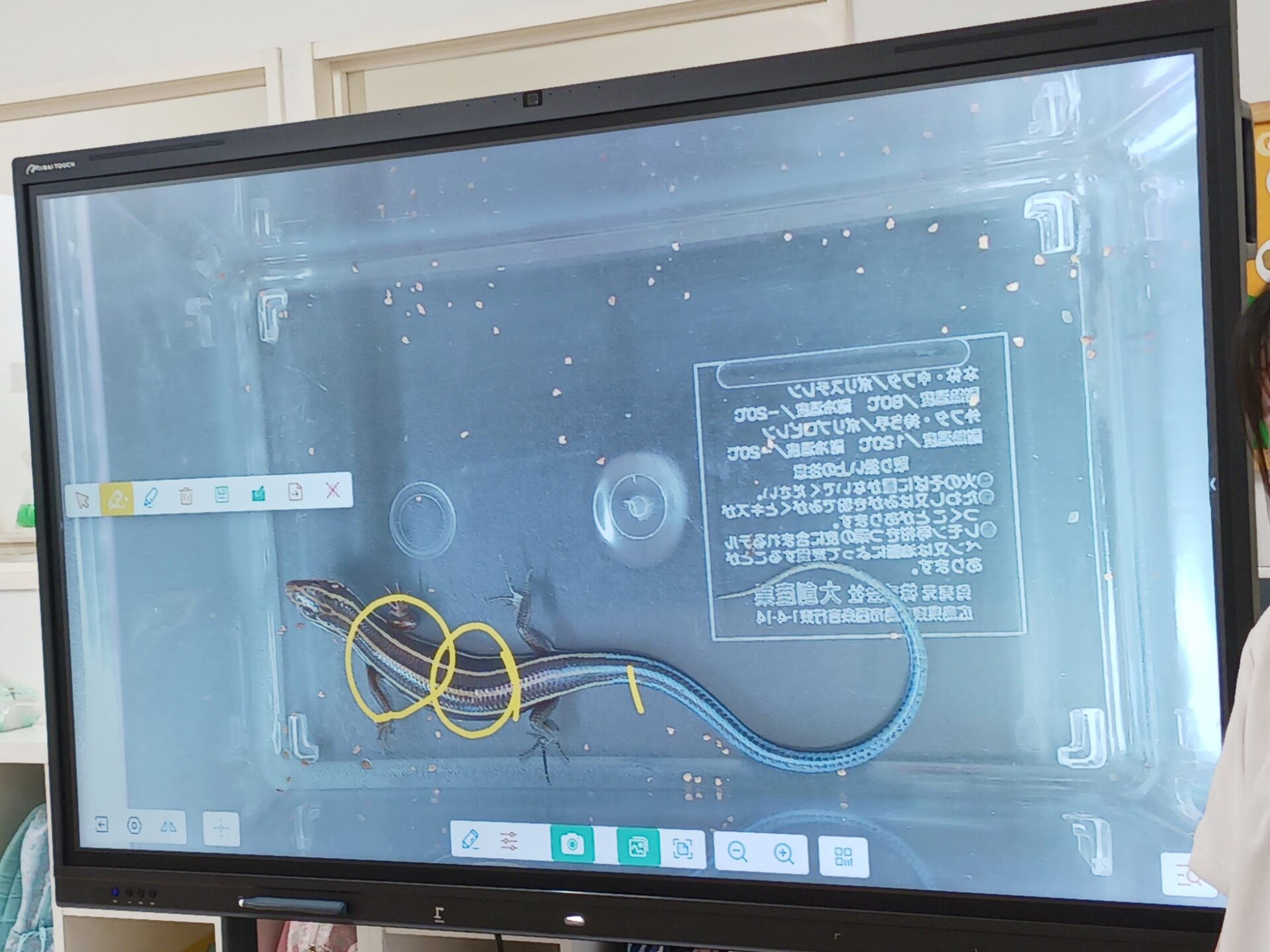 しらさぎ保育園に電子黒板「ミライタッチ」導入 - 画像3