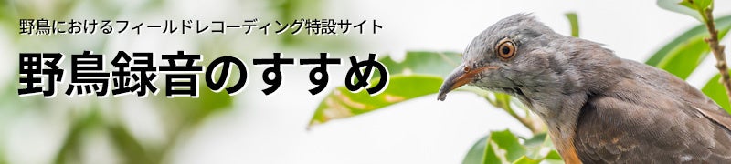 ティアック、日本最大級の鳥と触れ合うイベント「ジャパンバードフェスティバル2026」に出展