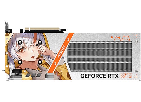 キャラクターイラストがプリントされたグラフィックボードのバックプレート面