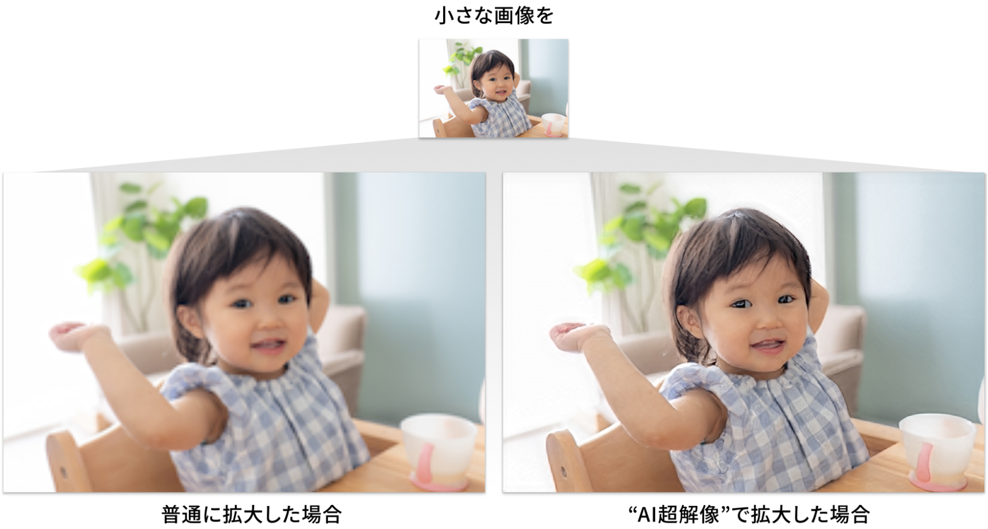 ソースネクスト、AI機能を搭載したデザインソフト「Drawgraphic 4 Pro AI」を発売｜動作環境と製品概要
