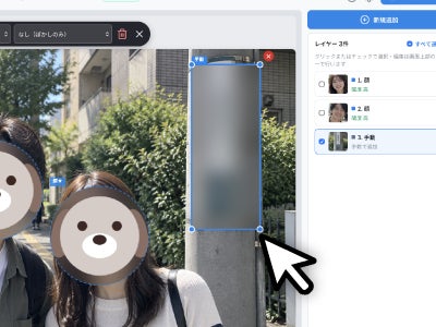ソースネクスト、AIが写り込みや位置情報を自動削除する画像加工ソフト「フォト消しプライバシー」を発売 - 画像13