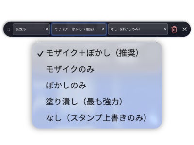ソースネクスト、AIが写り込みや位置情報を自動削除する画像加工ソフト「フォト消しプライバシー」を発売 - 画像9