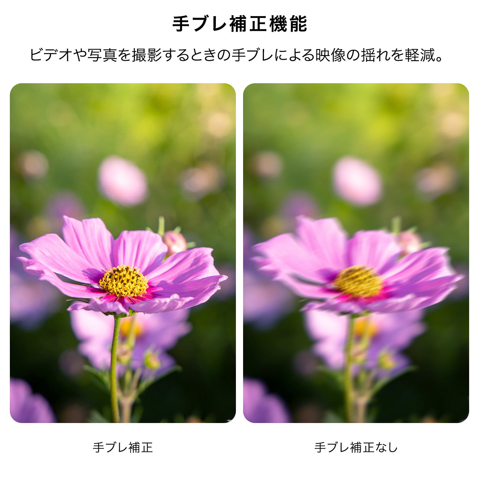 焦点工房、EFレンズをミラーレスで活かすAF対応電子マウントアダプター2種を発売｜主要スペックと価格一覧（7枚目）