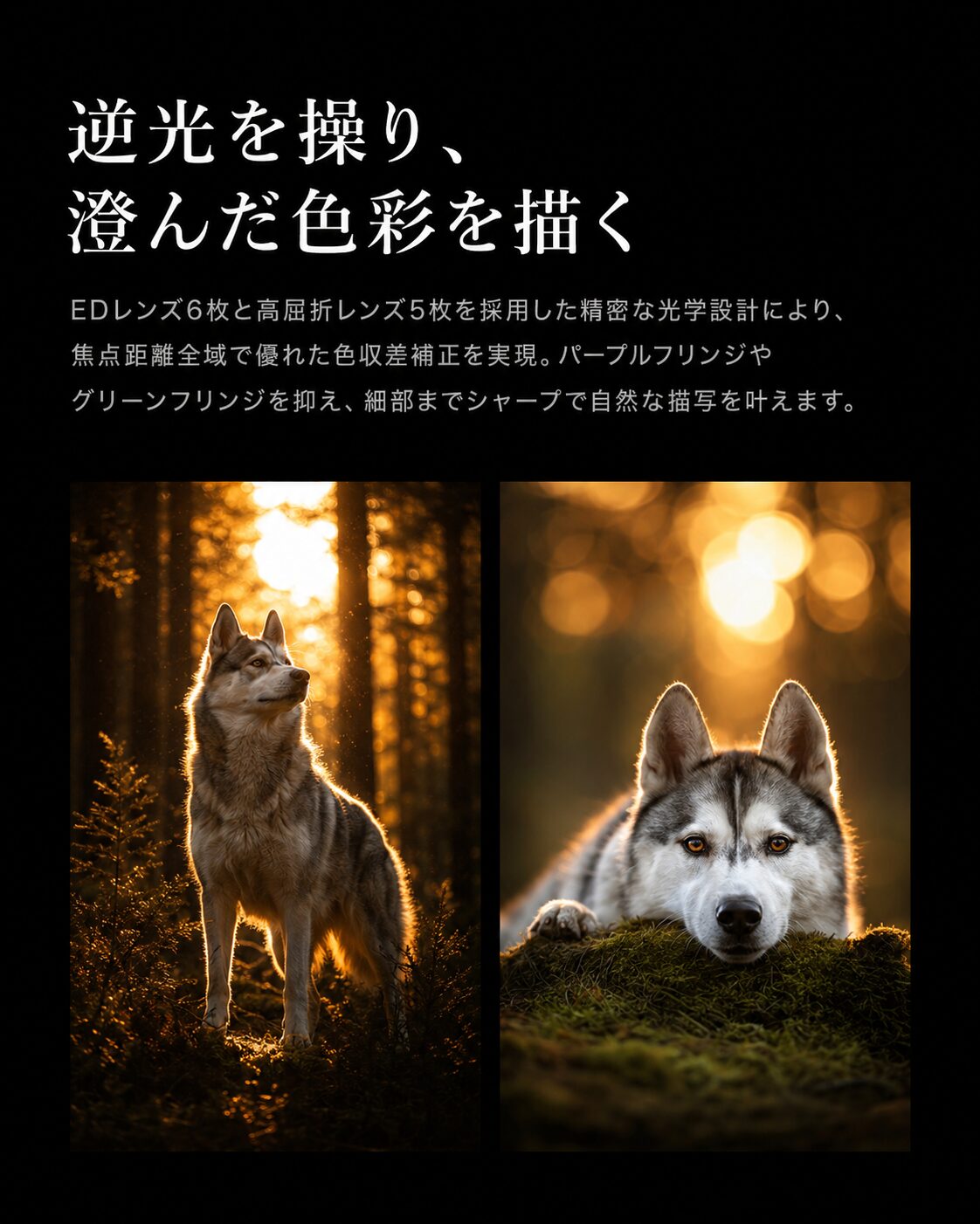 七工匠、ニコンZマウント用「MAX AF 135mm F1.8」を発売 - 画像12