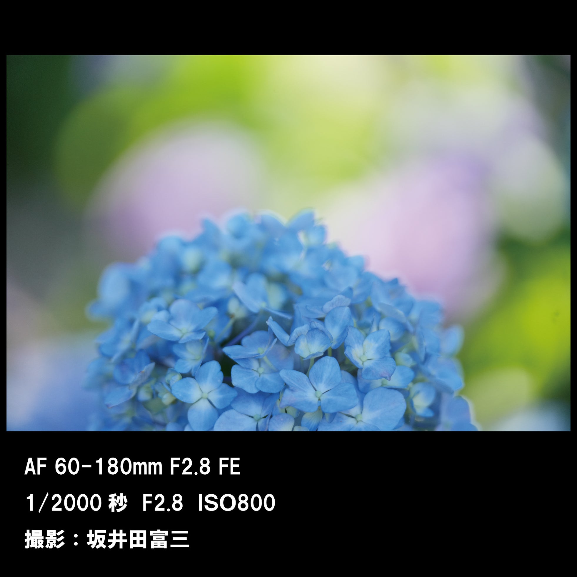 ケンコー・トキナー、大口径望遠ズームレンズ「SAMYANG AF 60-180mm F2.8」を9月18日に発売｜主な特徴と光学性能（5枚目）