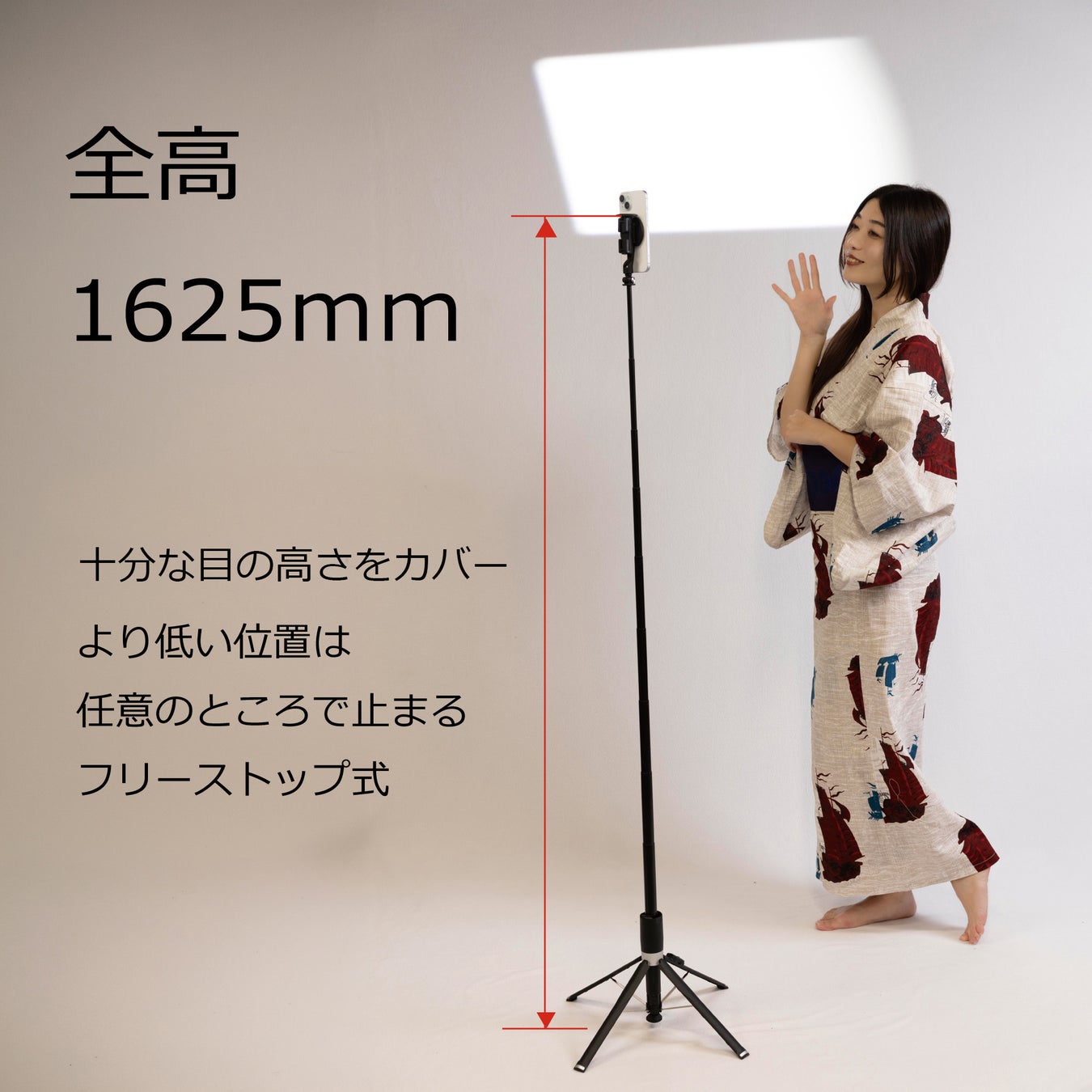 全高1625mmと十分な高さ