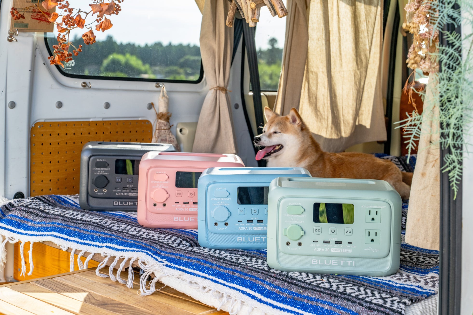 BLUETTI、第35回定禅寺ストリートジャズフェスティバルに初協賛・出展｜開催概要