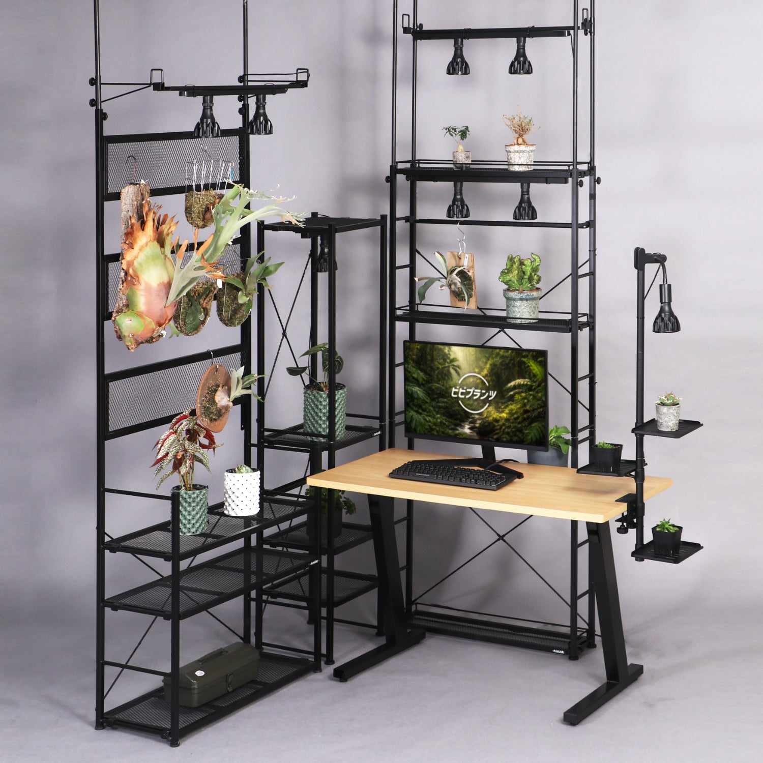 ビビラボ、PC周りを植物で彩る「ゲーミングジャングルデスク」の構築方法を公開|初心者のための植物紹介と室内育成方法