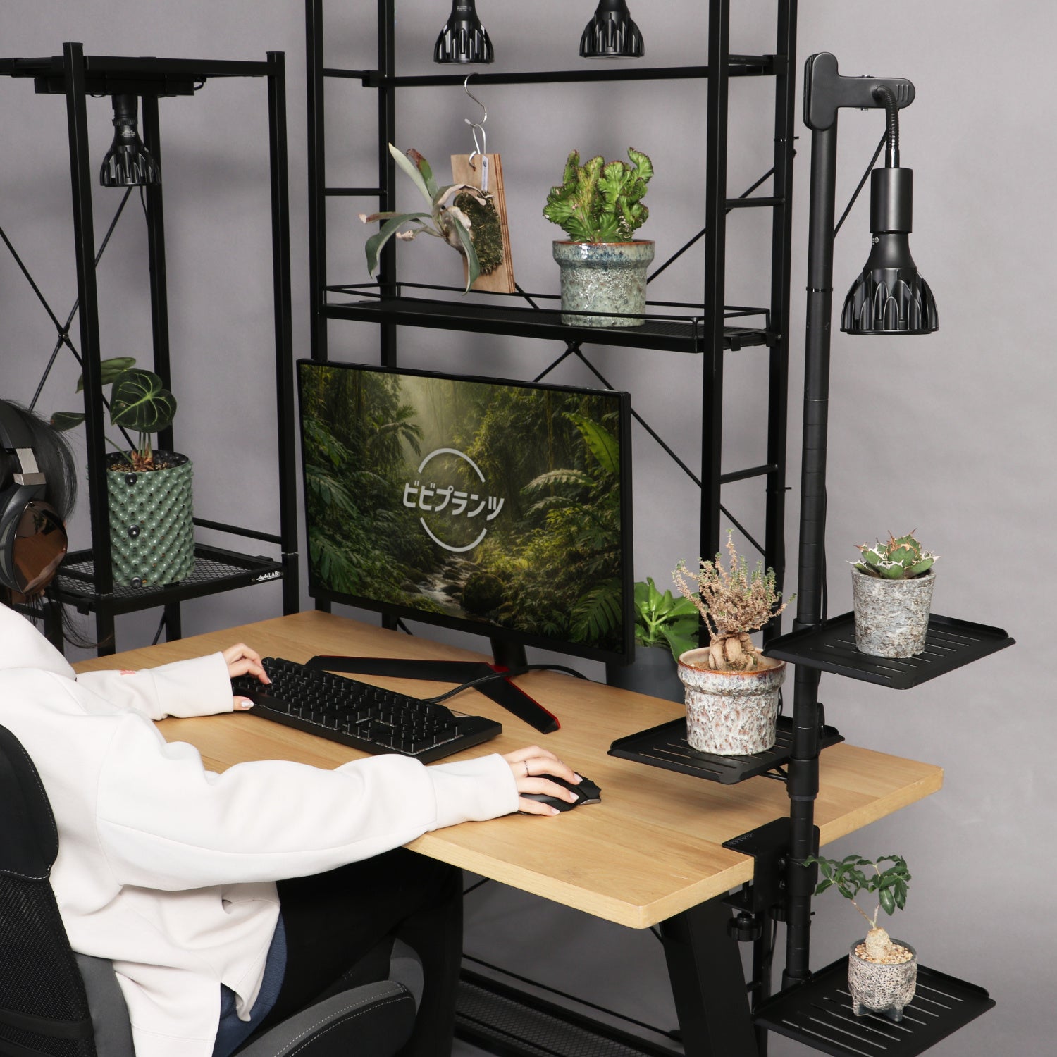 ビビラボ、PC周りを植物で彩る「ゲーミングジャングルデスク」の構築方法を公開|取扱サイト