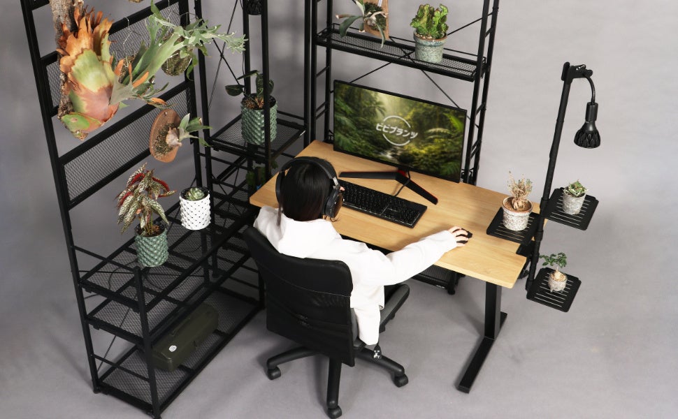 ビビラボ、PC周りを植物で彩る「ゲーミングジャングルデスク」の構築方法を公開