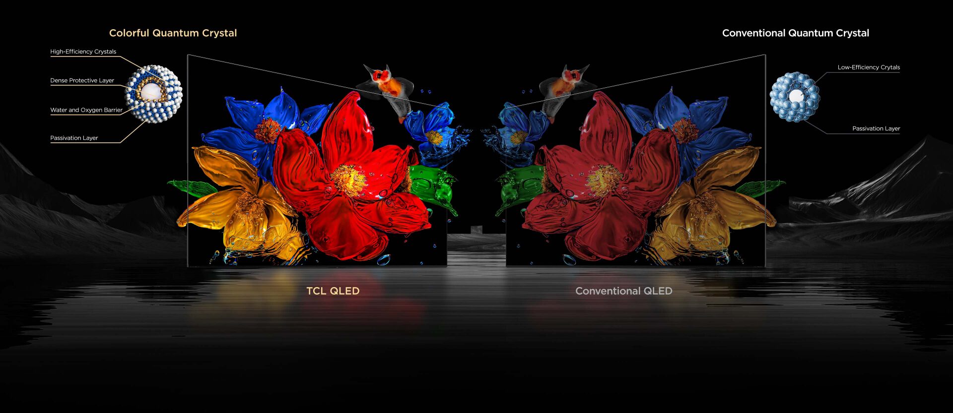 TCL QLEDと従来のQLEDディスプレイの比較 左側のTCL QLEDは鮮やかな花と金魚 右側の従来のQLEDは色が薄い花と金魚 量子ドットの構造の違いを示す