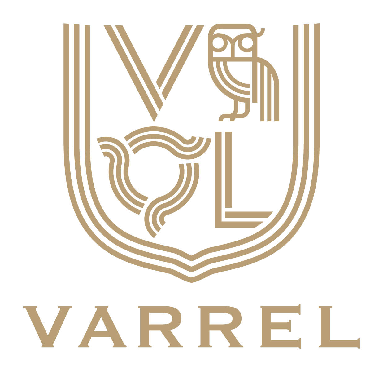 ASUSのゲーミングブランド「ROG」がプロeスポーツチーム「VARREL」とスポンサー契約を締結 - 画像2