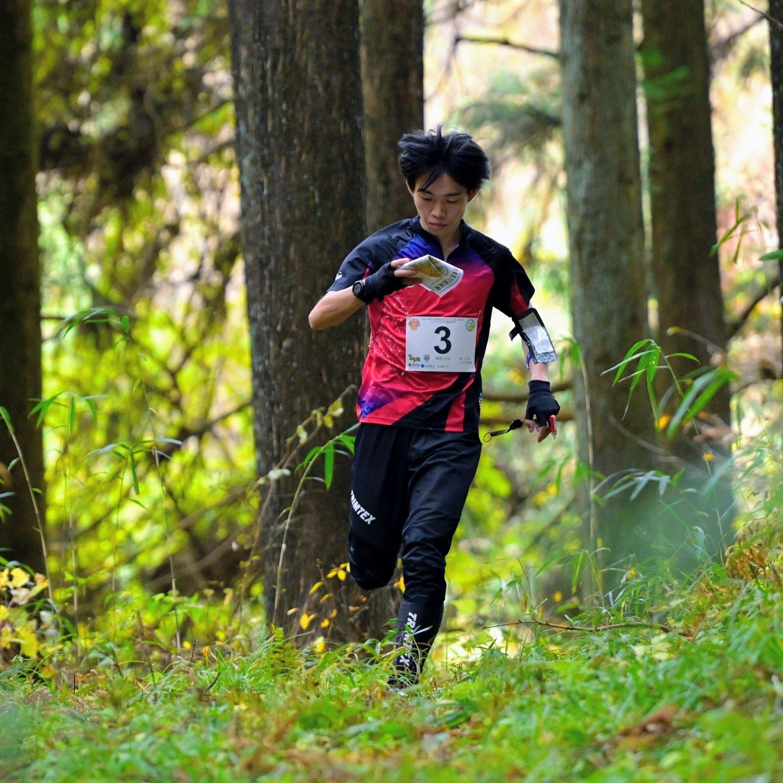 根の上高原でのオリエンテーリング大会、安全対策で「ココヘリ」を導入 - 画像2