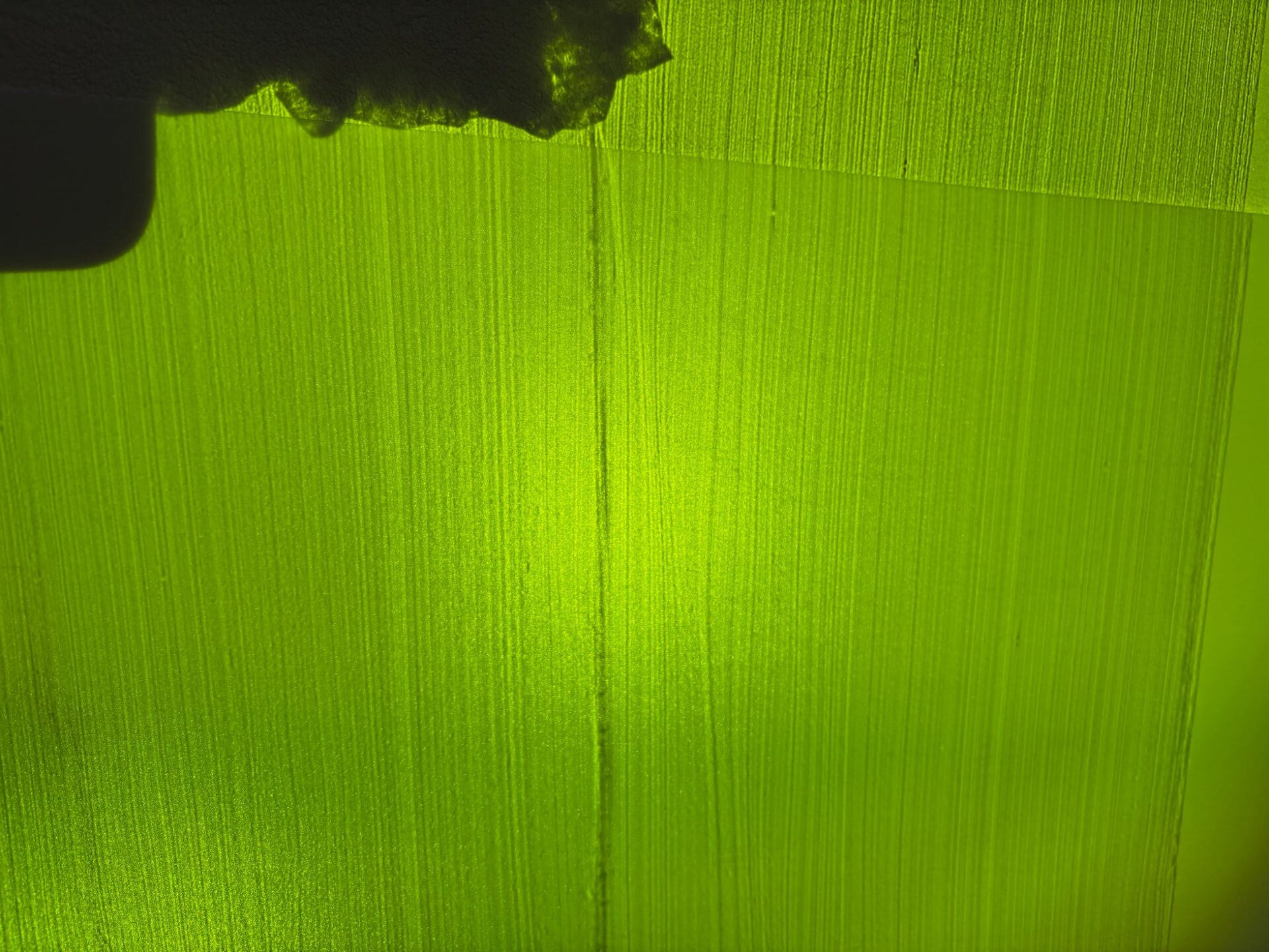 パーティクルラボ、超指向性フィルム検査用照明「Bloom Ray」を発表 - 画像4