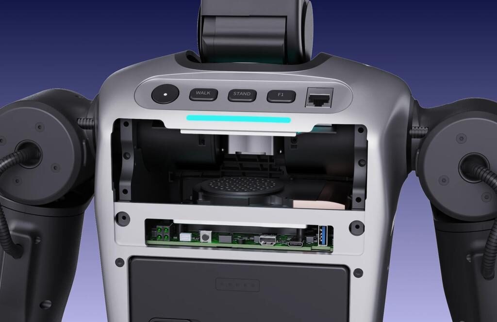 スイッチサイエンス、ヒューマノイドロボット「Booster K1 Pro」の取り扱いを開始 - 画像5