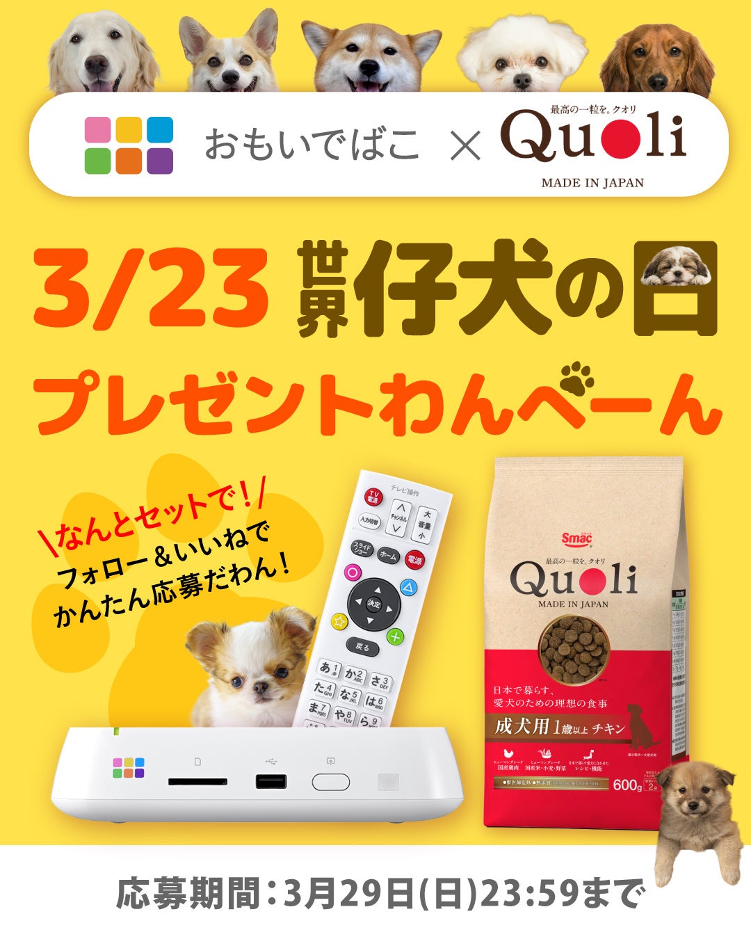 バッファロー、世界仔犬の日に「おもいでばこ」と「Quoli」セットをプレゼント - 画像1