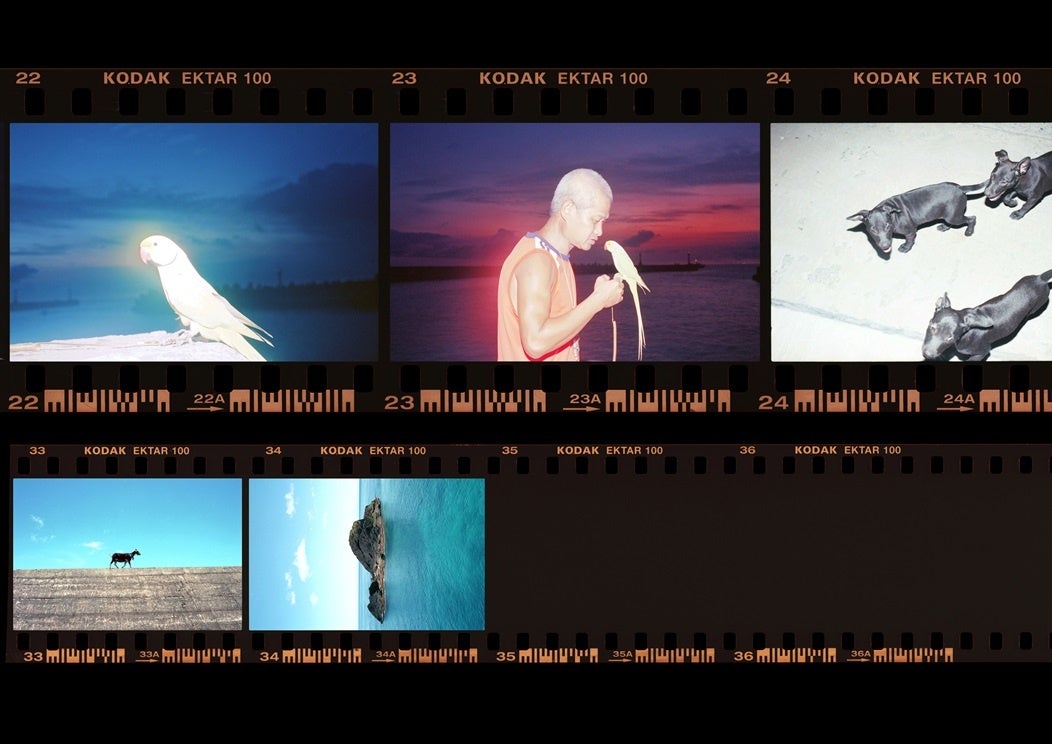 キヤノンMJ、写真・映像作家発掘オーディション「GRAPHGATE」の企画展を開催 - 画像4