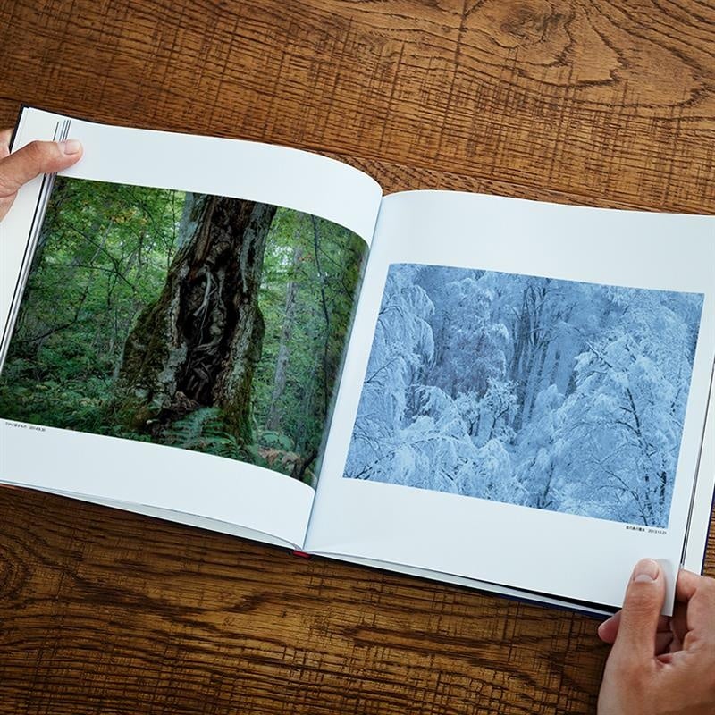 キヤノンMJ、岩木登氏の写真集“南八甲田”を発売 - 画像2