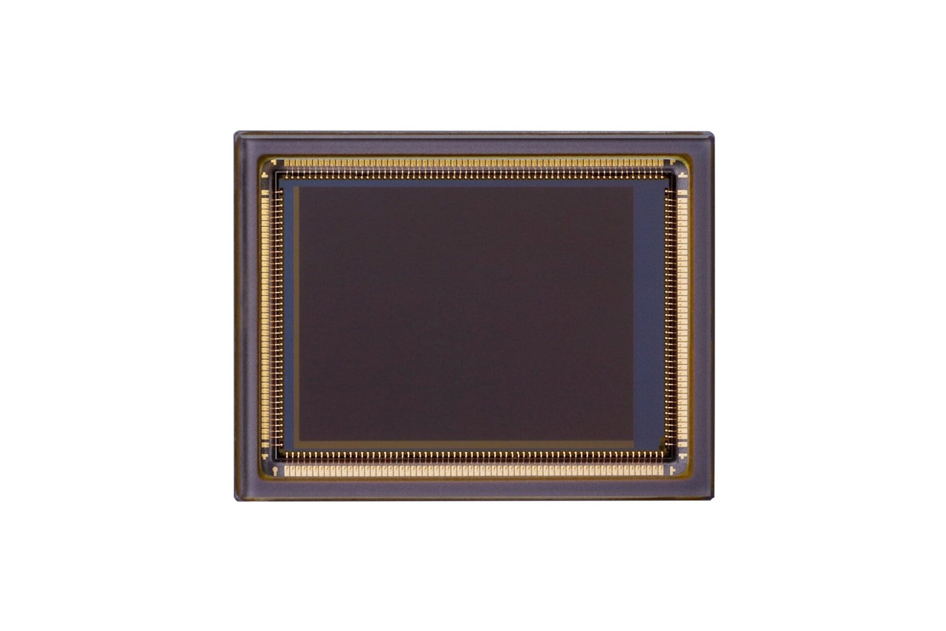 キヤノン、新SPADセンサー搭載の超高感度カメラ「MS-510」を発売 - 画像2