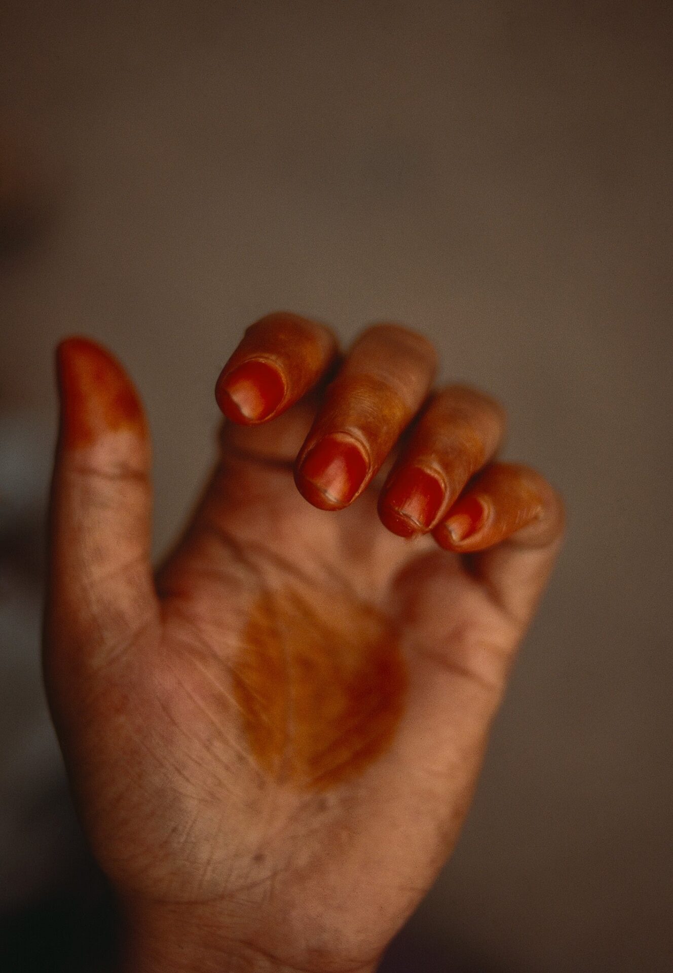 キヤノンギャラリーSで野村恵子写真展「龍宮」開催 - 画像4