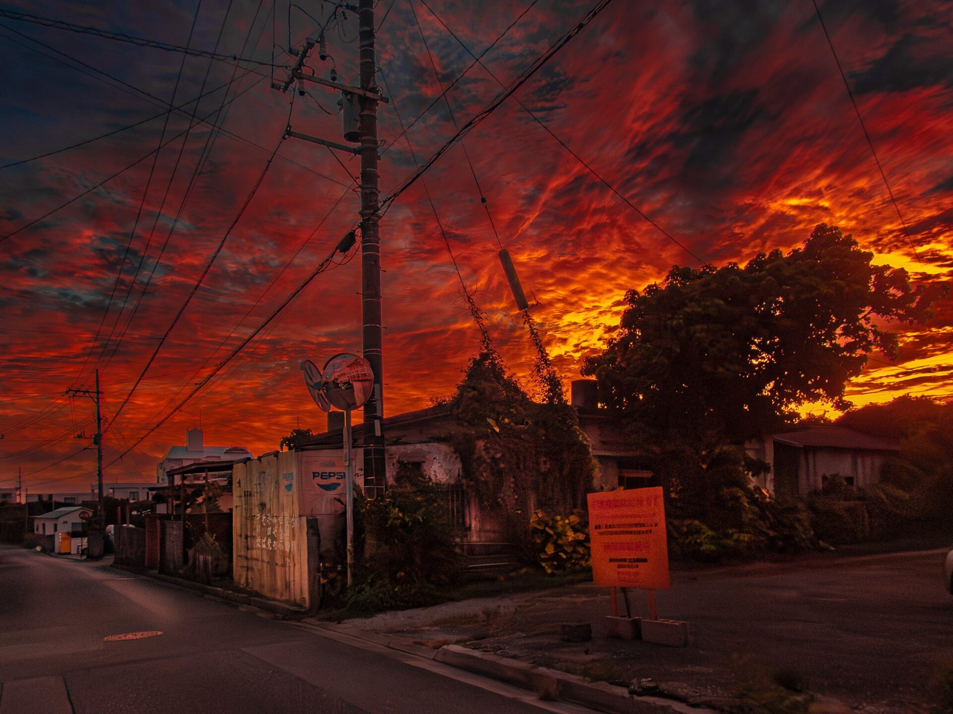 キヤノンギャラリーSで野村恵子写真展「龍宮」開催 - 画像6
