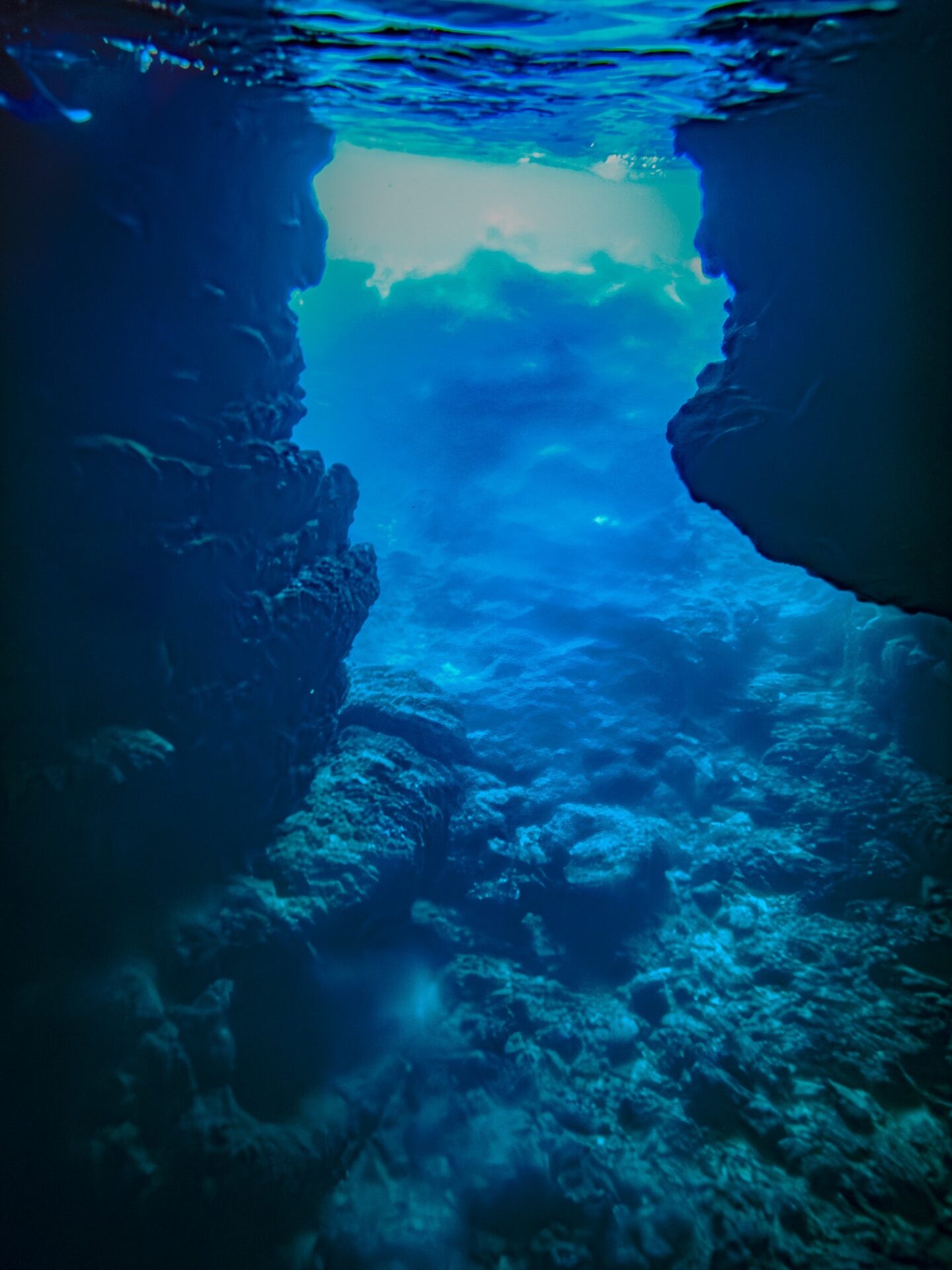 キヤノンギャラリーSで野村恵子写真展「龍宮」開催 - 画像7