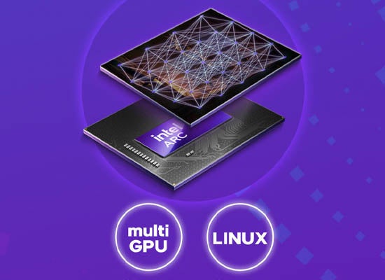 CFD販売、SPARKLE製のIntel Arc Pro B50搭載グラフィックボードを発売 - 画像7