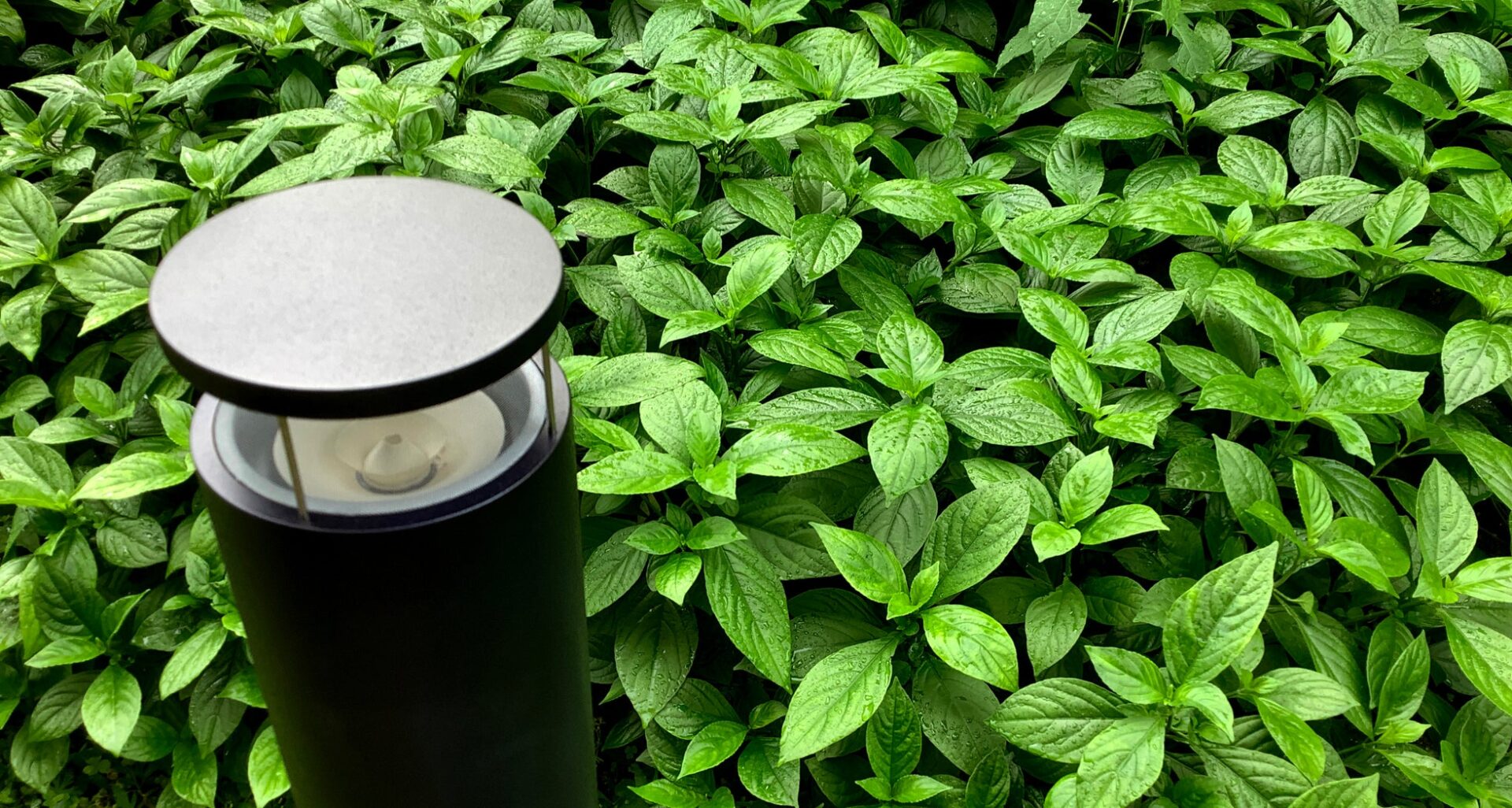 知名オーディオ、琉球藍を用いた「藍染スピーカー」を発表 - 画像2