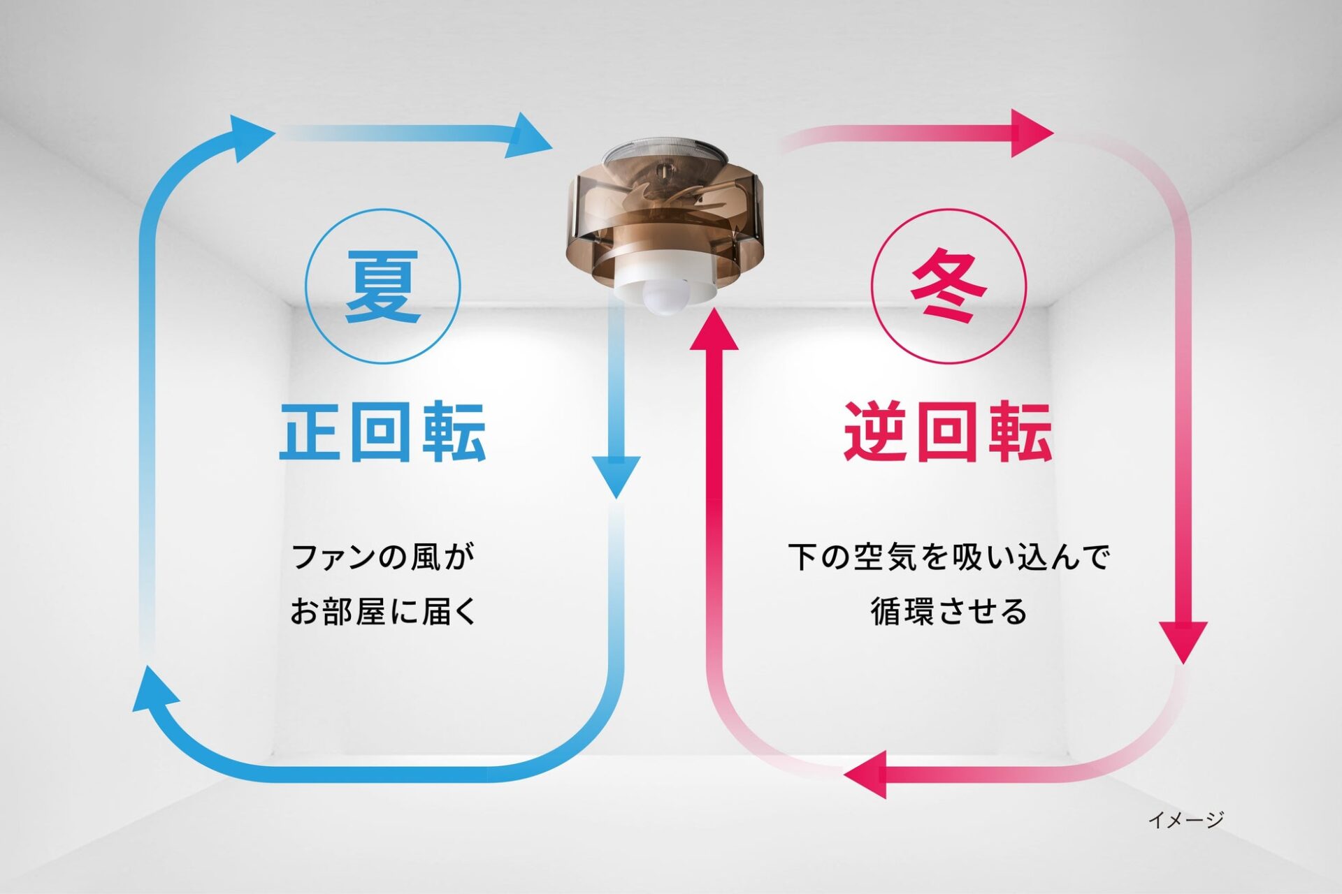 ドウシシャ、デザイン性を高めた「サーキュライト HELIX」を発表 - 画像8
