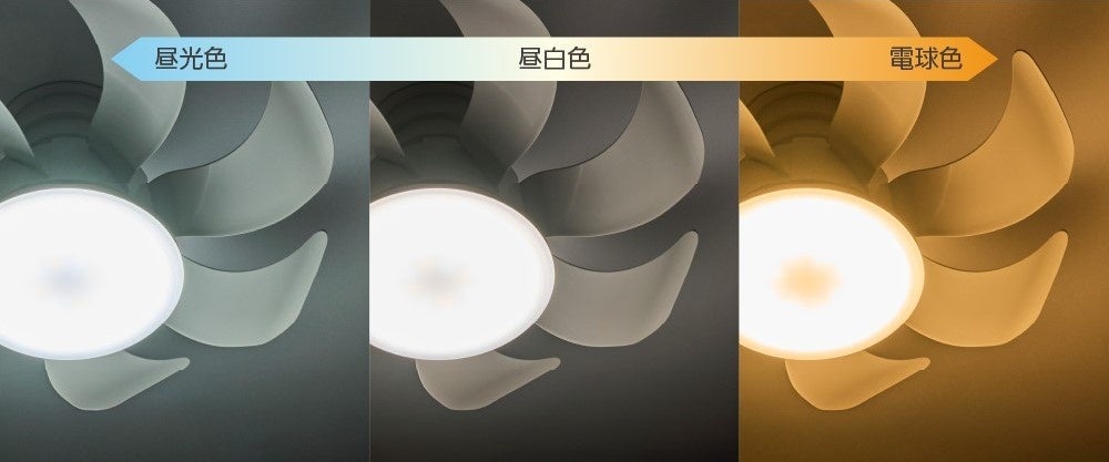 ドウシシャ、シリーズ最大風量を実現したファン付シーリングライト「サーキュライト ウイング」発売 - 画像6