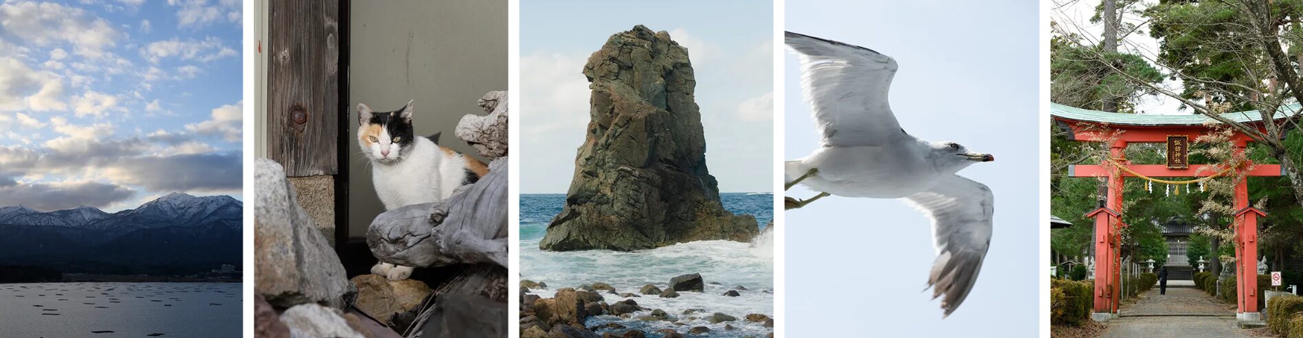 新潟県の風景を写真で表現 CREA×新潟県フォトコンテスト開催 - 画像3