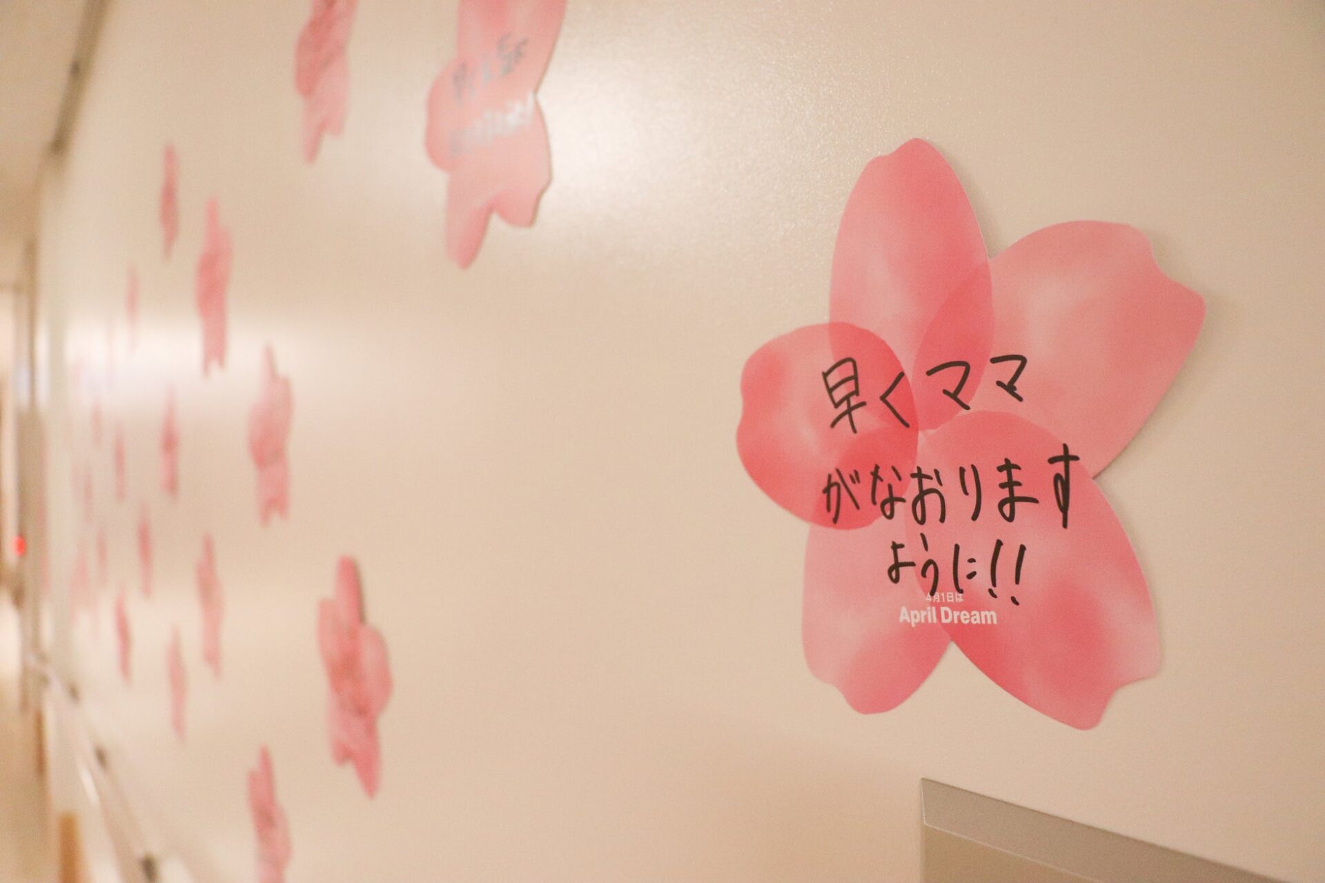 夢を発信する場「Dreamパートナー」100組織突破 - 画像5