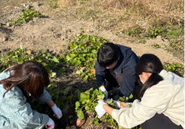 ディエスジャパン、Local Bridge学生局と連携しFC大阪の脱炭素活動を発信|情報発信と役割分担