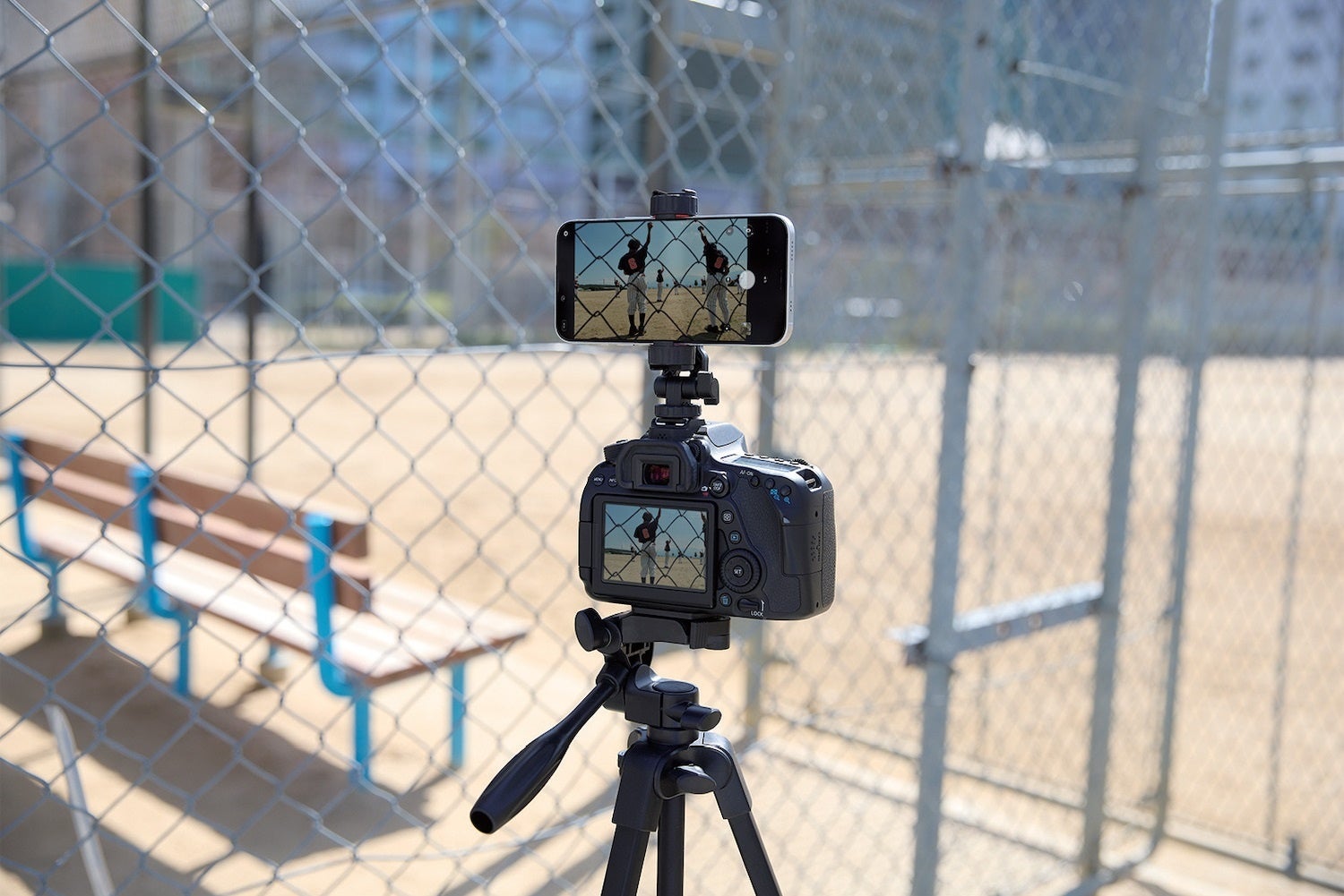 エレコム、Amazon新生活セールで1,147アイテムを特別価格で販売 - 画像2