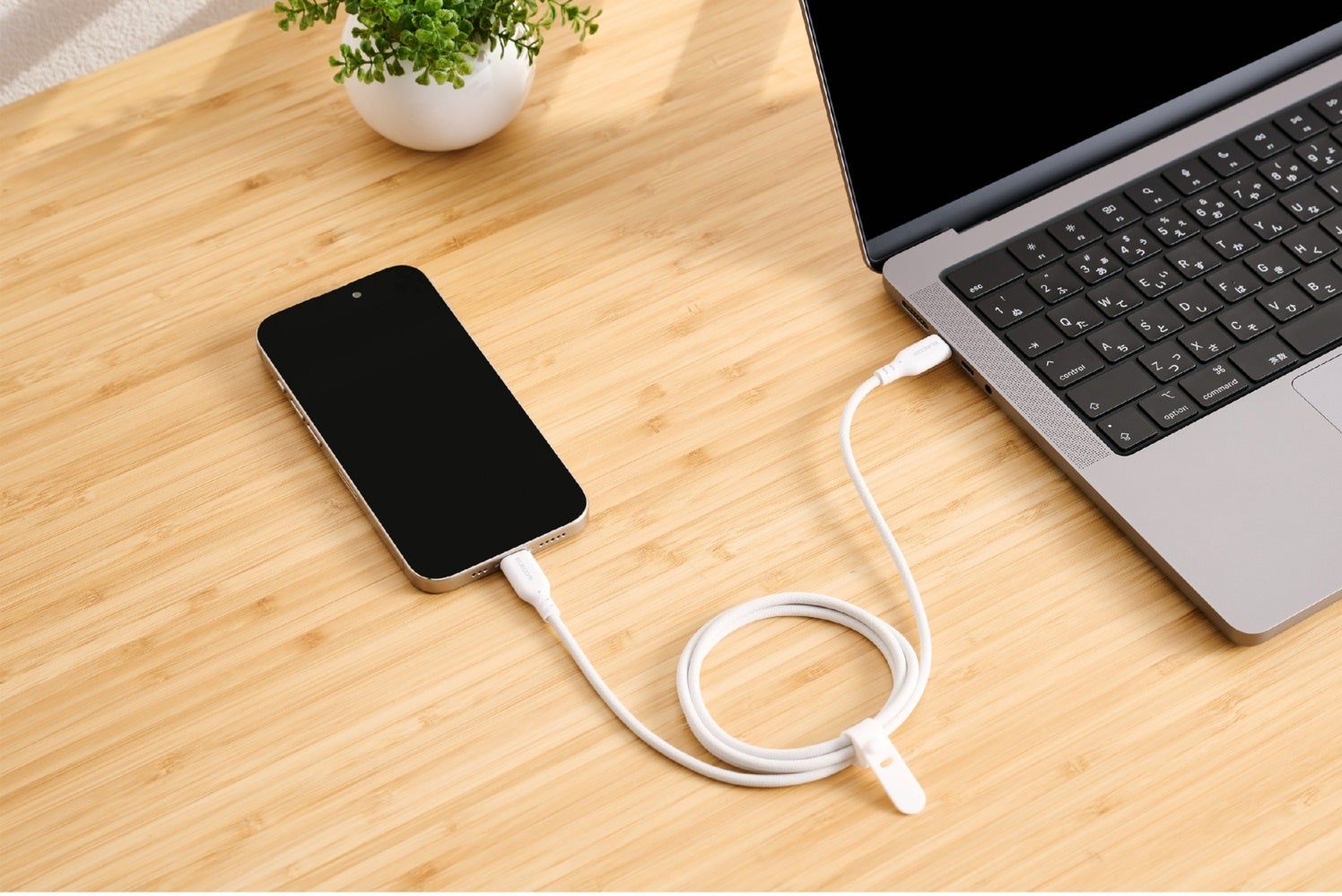 エレコム、Amazon新生活セールFinalで1,146アイテムを特別価格で販売 - 画像3