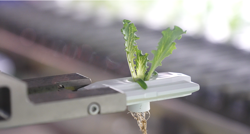 FAMS、April Dreamで食と健康守るロボット夢発表 - 画像4