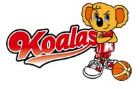 三菱電機、FIBA 3x3 Women's Seriesに初参戦 - 画像4