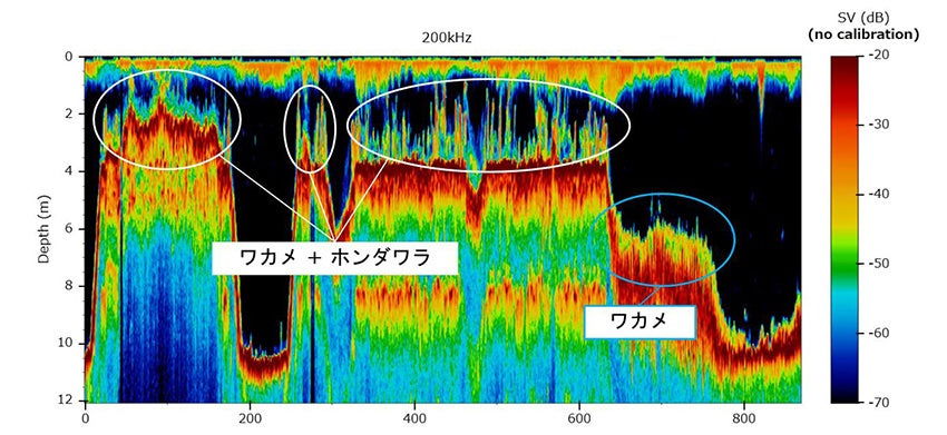 FURUNO、アジア水産音響学会でブルーカーボン技術を発表 - 画像4