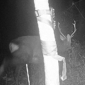 古野電気、Eバンドレーダーによる山間部の野生動物監視実証に成功|山間部における獣害監視の新たな技術検証