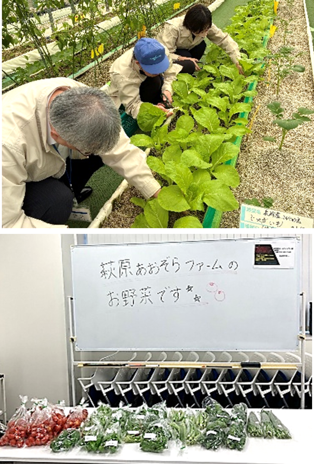 萩原電気グループ、4年連続で『健康経営優良法人』に認定 - 画像2