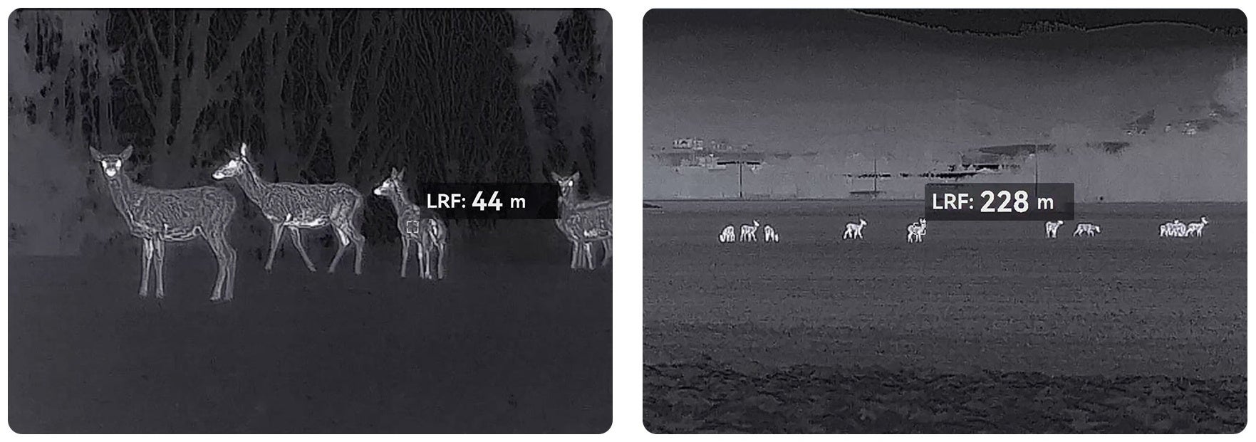 サイトロンジャパン、高感度サーマル単眼スコープ「CONDOR LRF 2.0」シリーズを発売 - 画像3