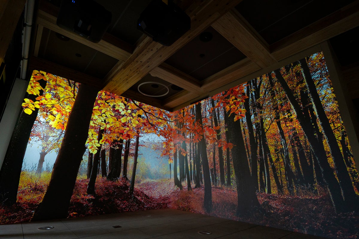 花王すみだ事業場に没入型空間ソリューション導入 - 画像5