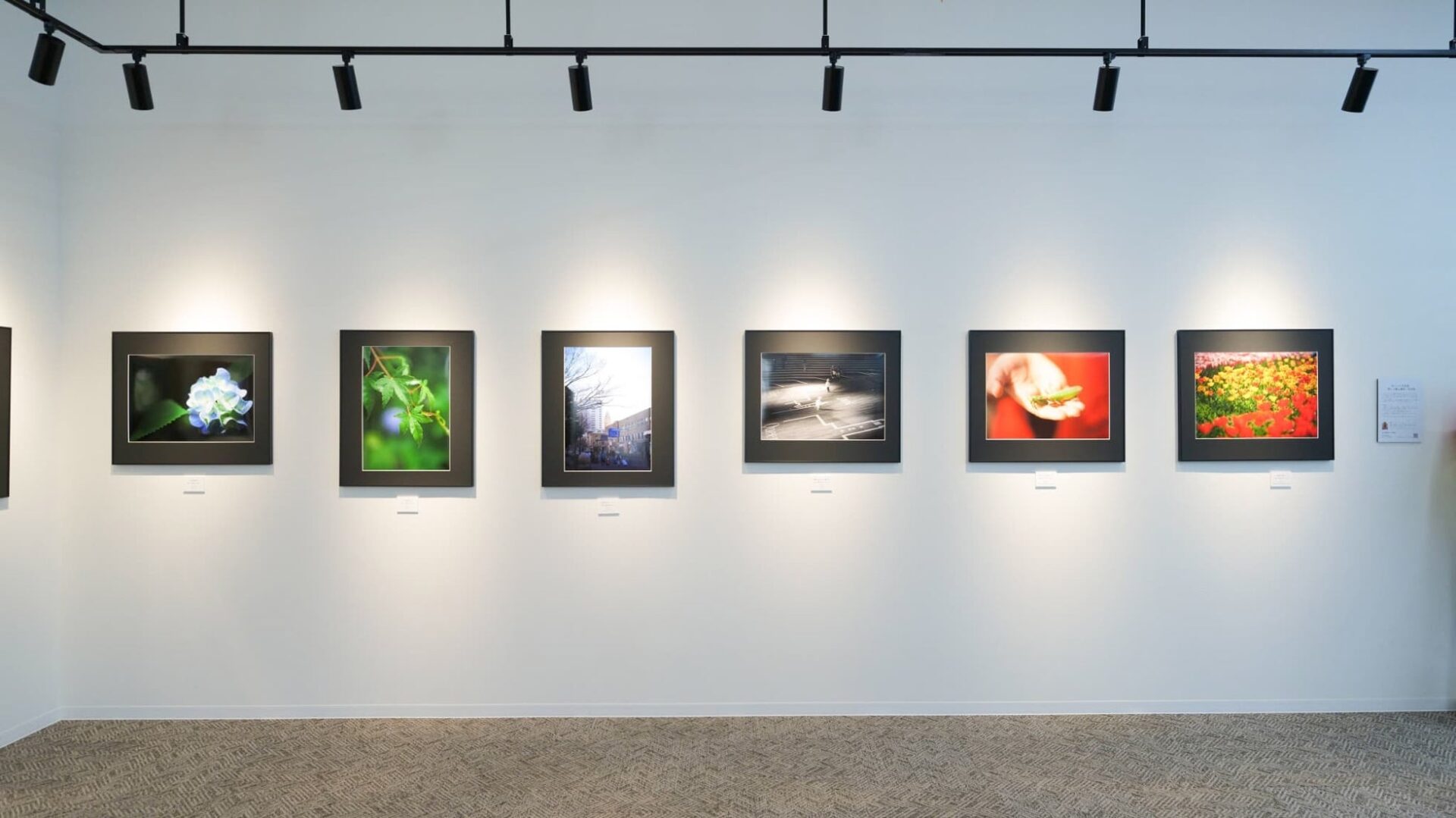 カメラのキタムラ高知・土佐道路店が大型リニューアル - 画像3