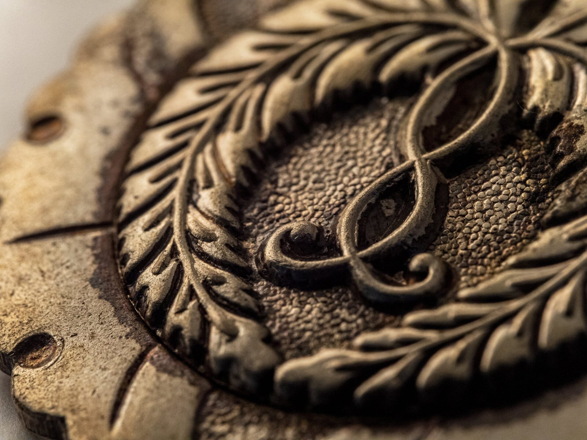 サイトロンジャパン、LAOWA 90mm F2.8マクロにMFTマウントを追加 - 画像4